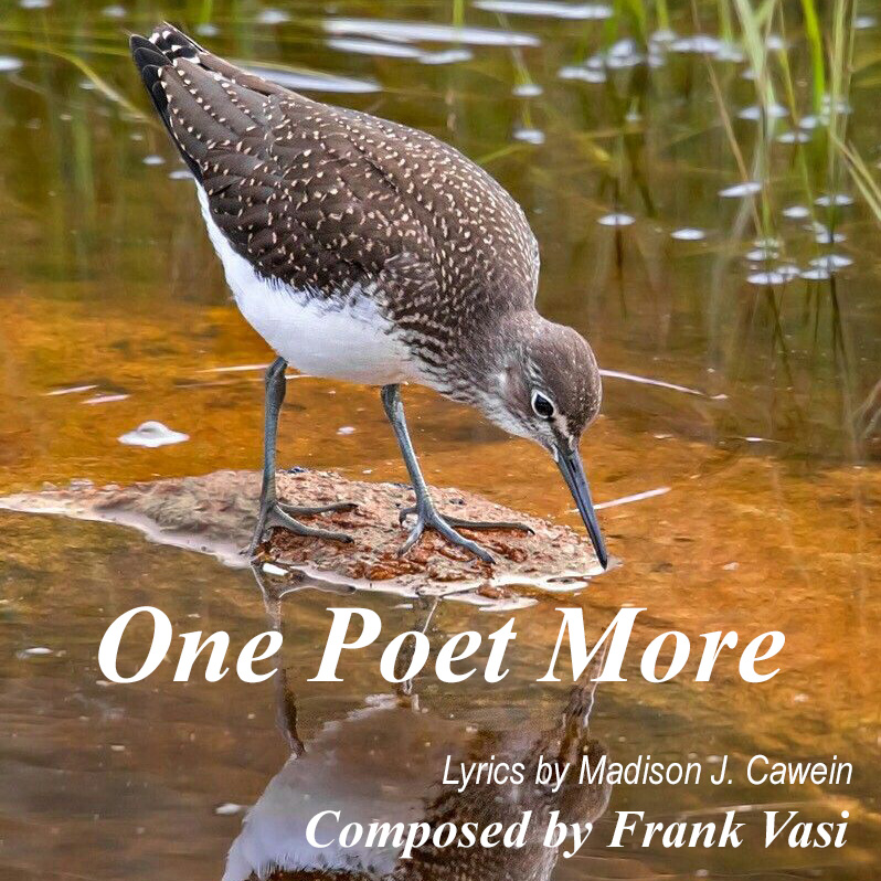 One Poet More